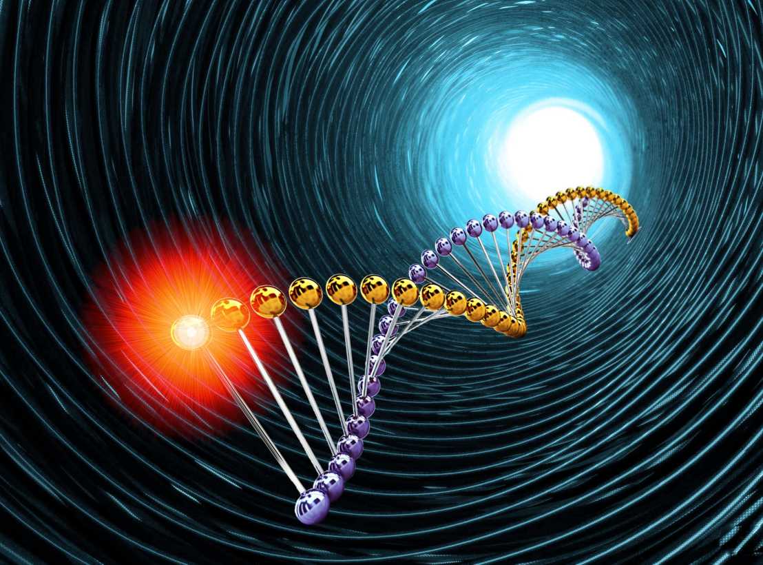 DNA in a nanochannel